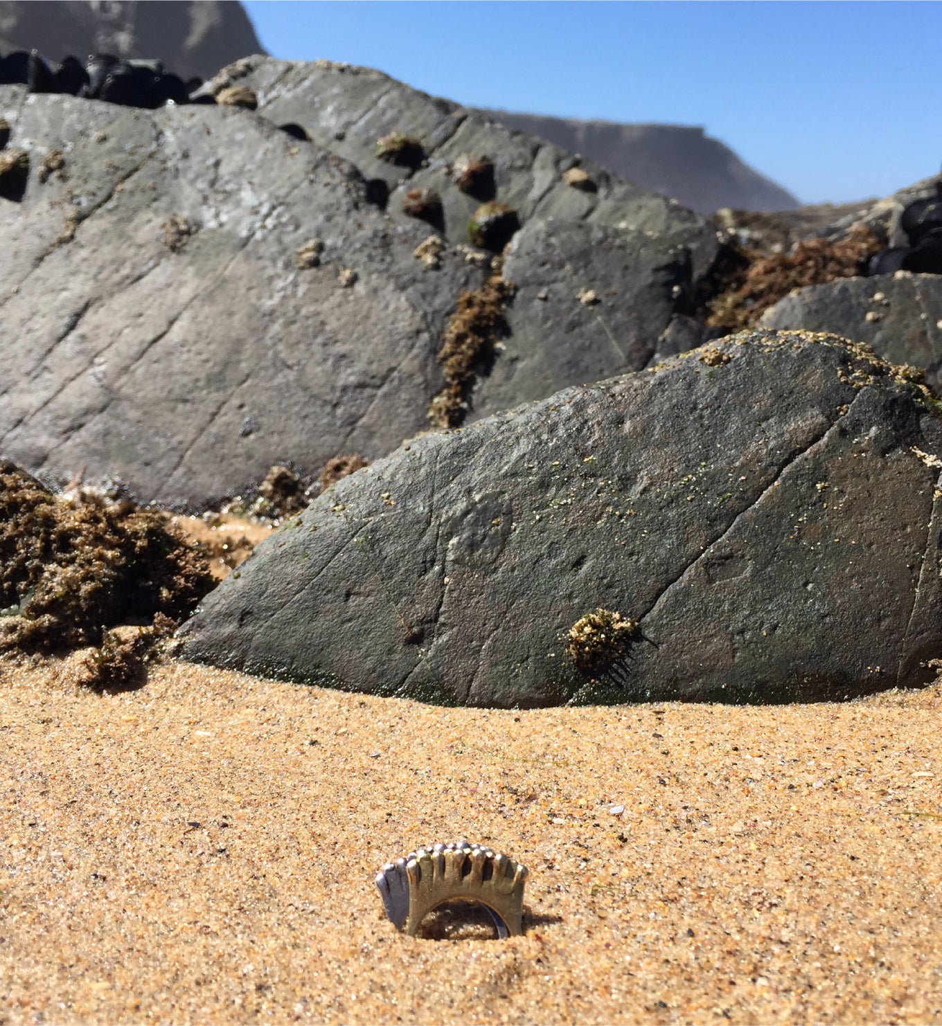 Anemone Ring